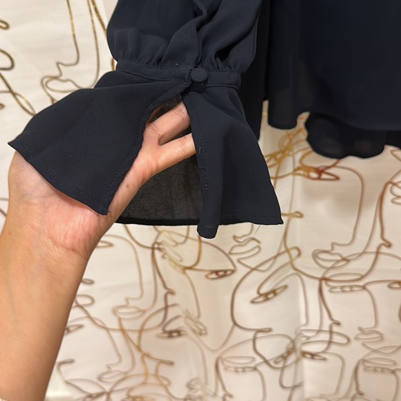 Blue Blouse - Picture 3 of 3